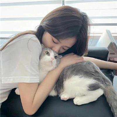 盗贼泰瑞莎